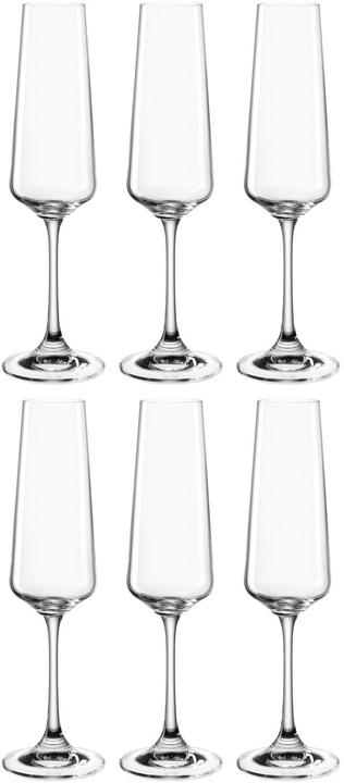 Actual product image Leonardo Champagne glass Paladino 220 ml, 6 pieces (22 cl, 1 Glass, Champagne glasses)