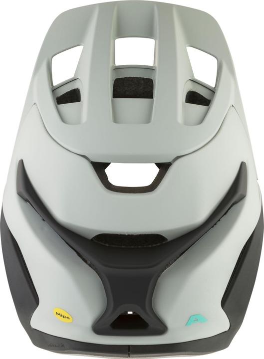 Image du produit ALPINA SPORTS Root Mips (51 - 55 cm)