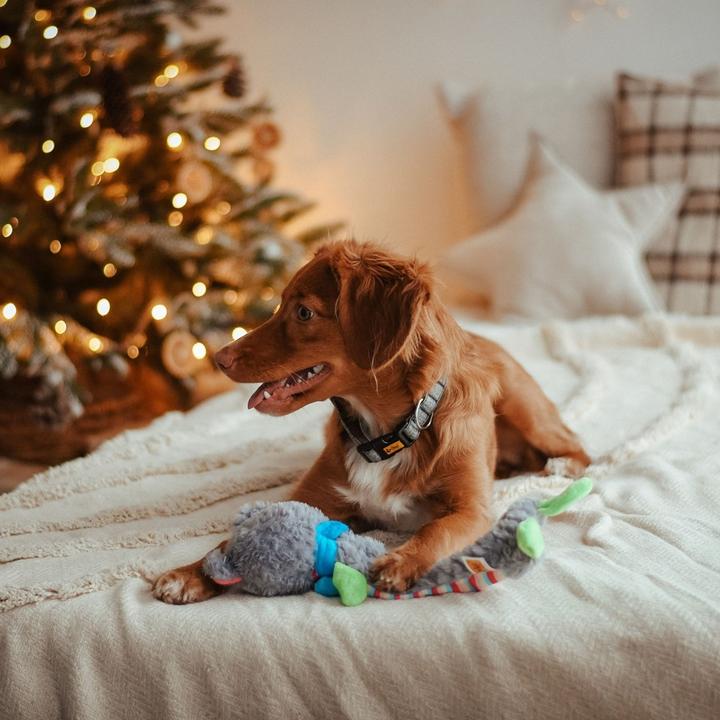 Actual product image Red Dingo DINGO Žaislas PLUSZ MIŚ SZELESZCZĄCY 36cm (Plush toy dog)