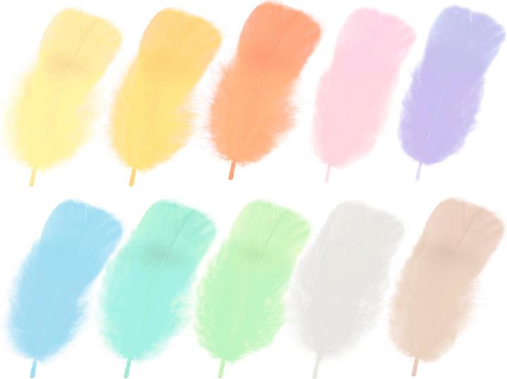 Actual product image Ursus Feathers 100g, Multicoloured