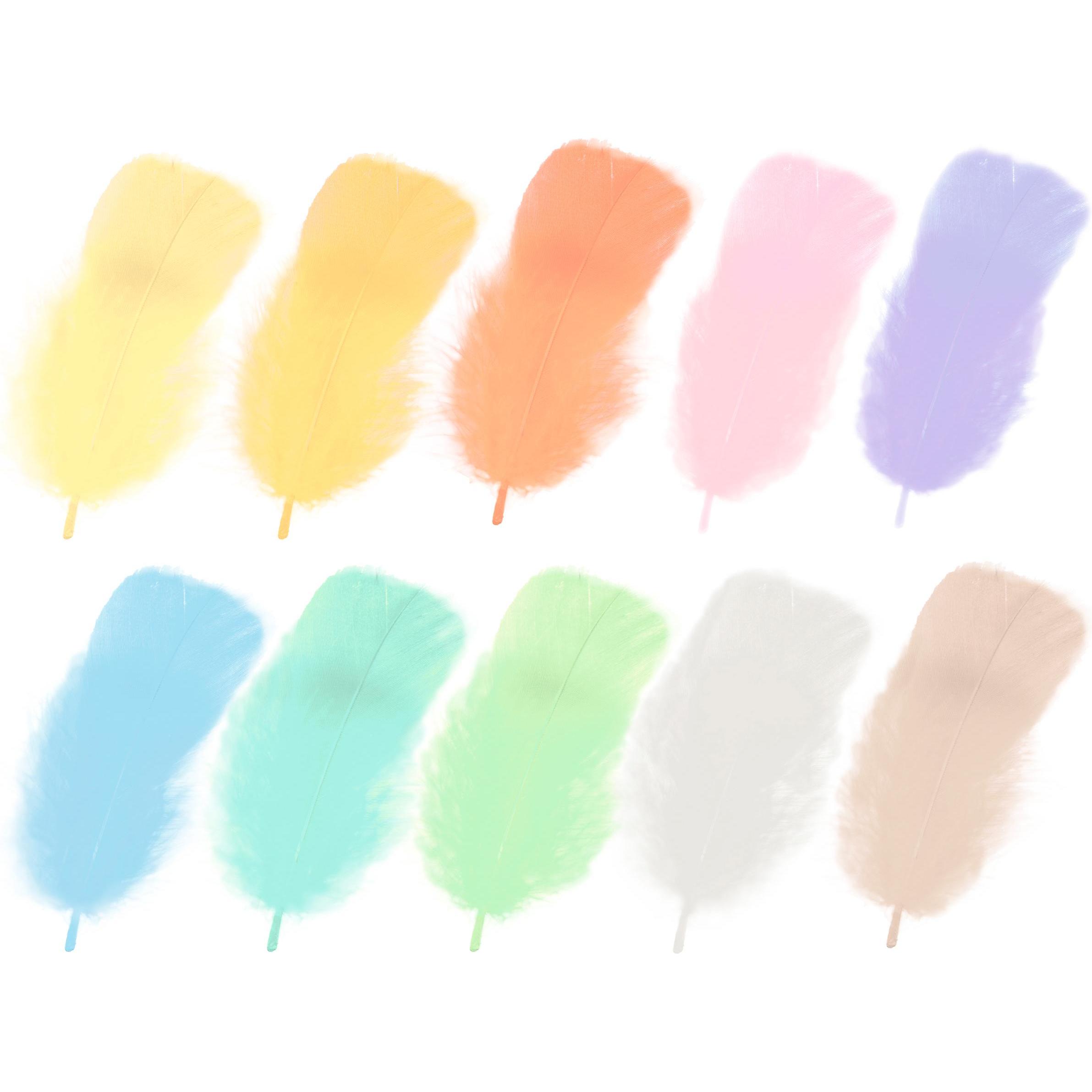 Thumbnail - Ursus Federn 100g, Mehrfarbig