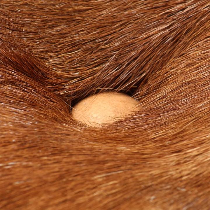 Produktbild vidaXL Walther