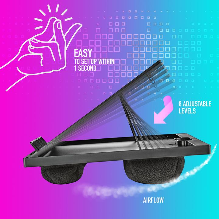 Produktbild NGS Lapnest