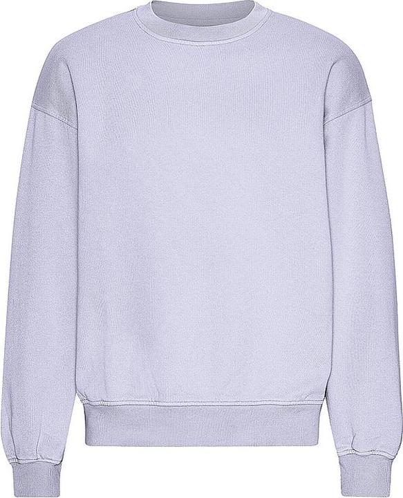 Image du produit Colorful Standard Sweater (L)