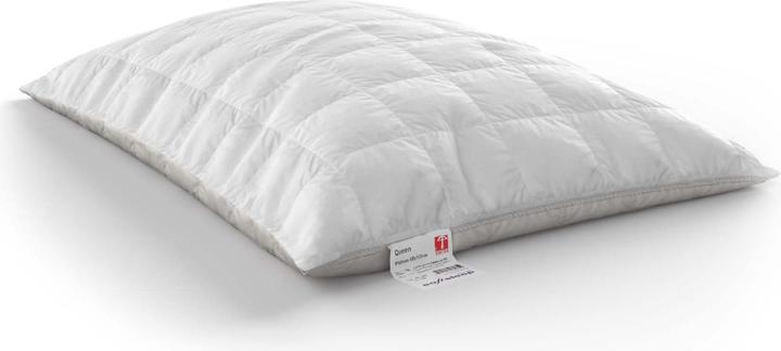 Actual product image softsleep Queen (50 x 70 cm)