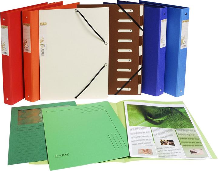 Produktbild Exacompta Sammelmappen - Aktendeckel (A4, 100x)