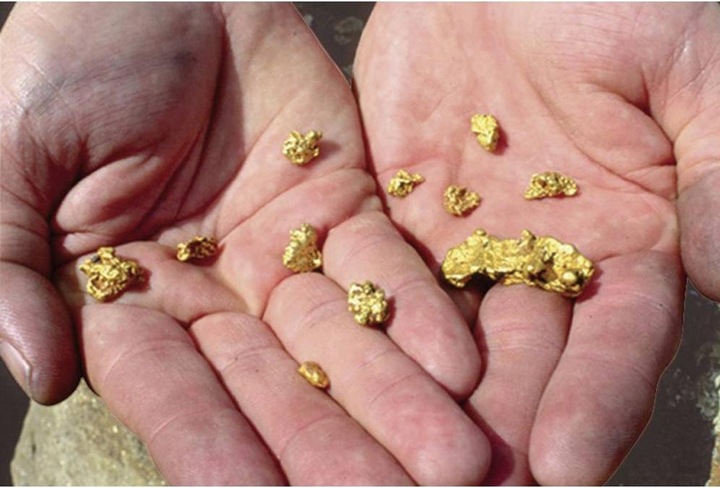 Immagine prodotto Garrett Kit pentola d'oro