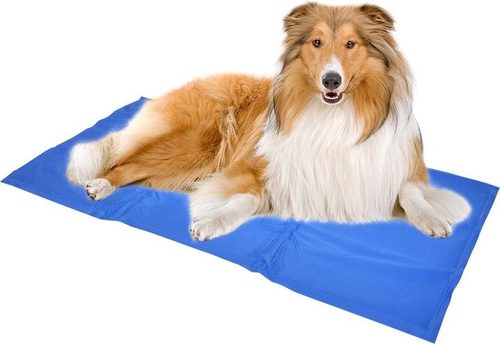 Productafbeelding EBI Koelmat M (Hond)