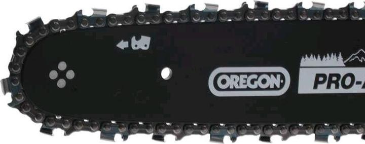 Immagine prodotto AL-KO Bks 4540 (Sega a catena a benzina)