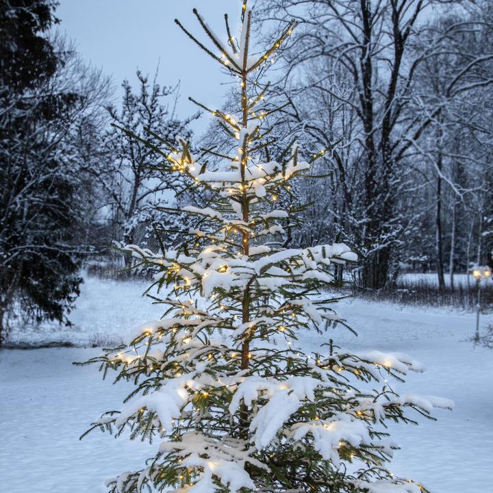 Actual product image Star Trading Dew Drop Micro Light Chain