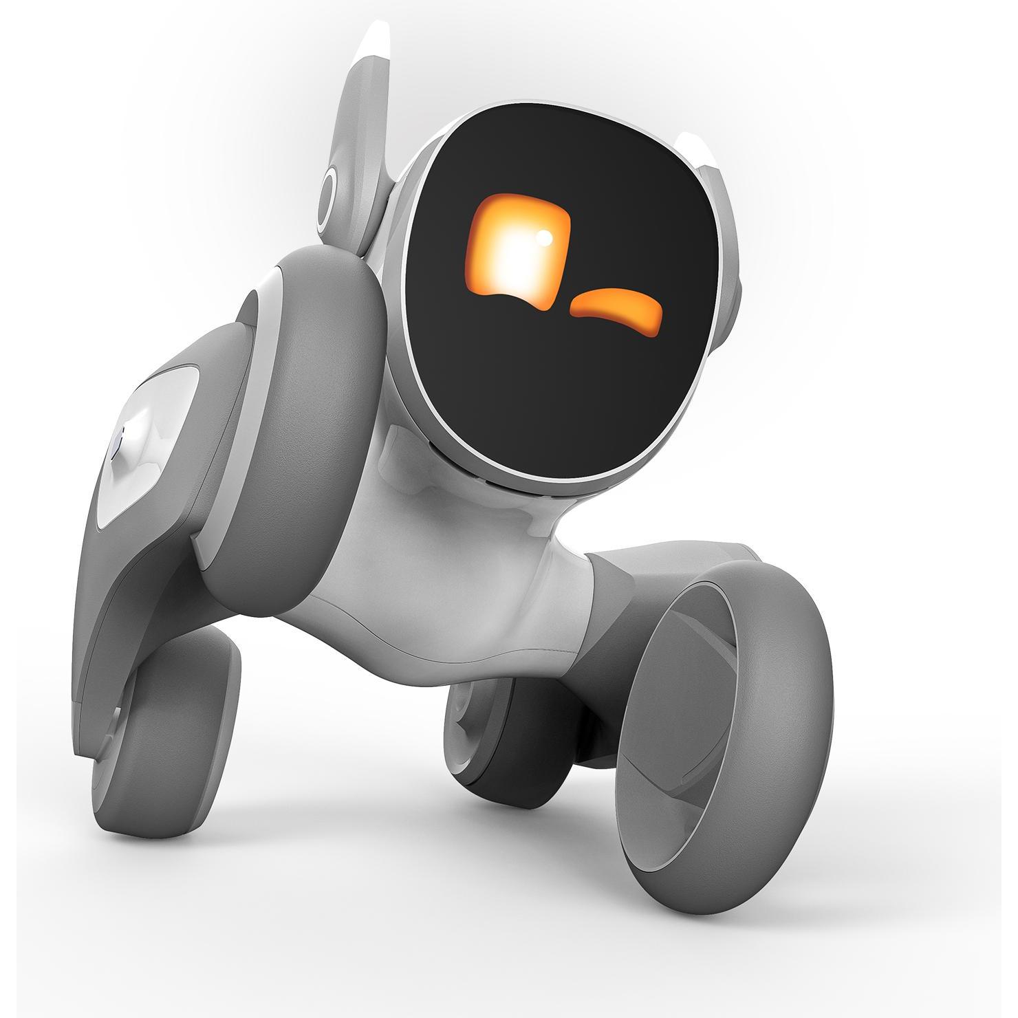 OEM Loona Premium Interaktiver Roboter, Kit robotica, Bianco, Grigio