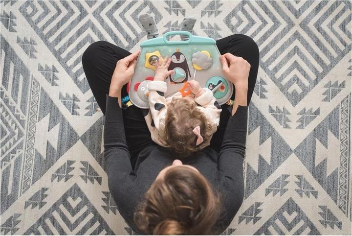 Image du produit Taf Toys Pôle Nord