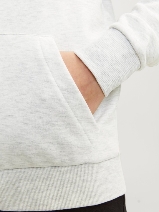 Produktbild Jack & Jones Gedruckt Kapuzenpullover mit Reissverschluss Für jungs Kapuzenpullover mit Reissverschluss (176)