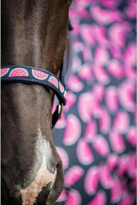 Actual product image Horse Guard Melona
