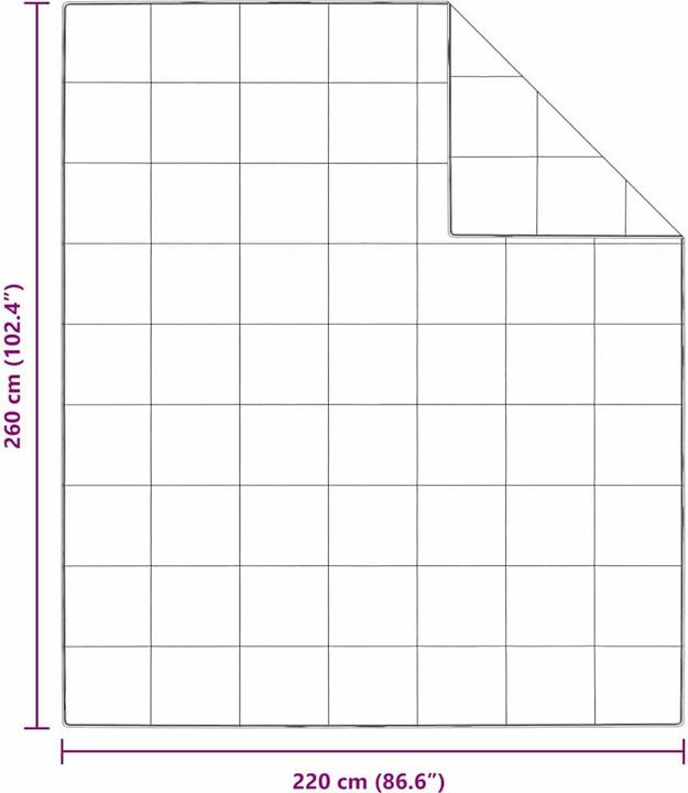Immagine prodotto vidaXL Sommerdecke (2400 g, Piuma, 220 x 260 cm)