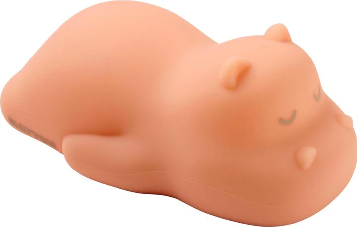 Image du produit Nattou Hippo