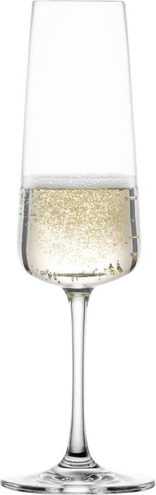 Actual product image Schott Zwiesel Champagne glass MioVino 7 4 pieces (26 cl, 4 Glasses, Champagne glasses)
