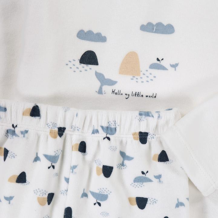 Produktbild La Redoute Collections 2er-Pack Samt-Pyjamas mit Walmotiven (56)