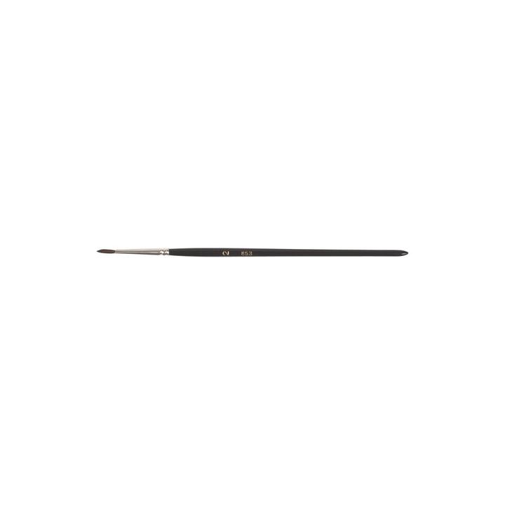 Image du produit Ebnat pinceaux pour aquarelle (2 mm)