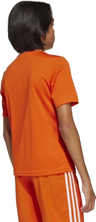 Immagine prodotto adidas Maglia Campeon 25 Bambini (176)