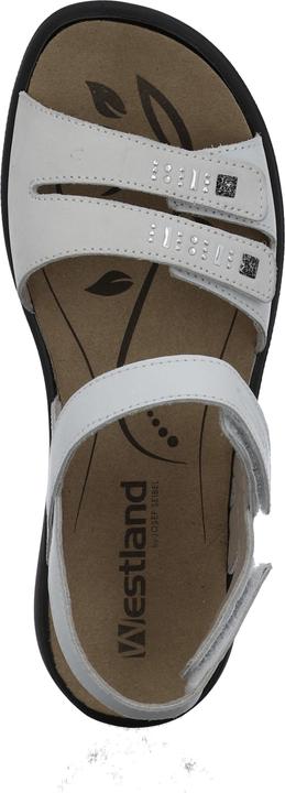 Actual product image Westland 16786-96 (44)