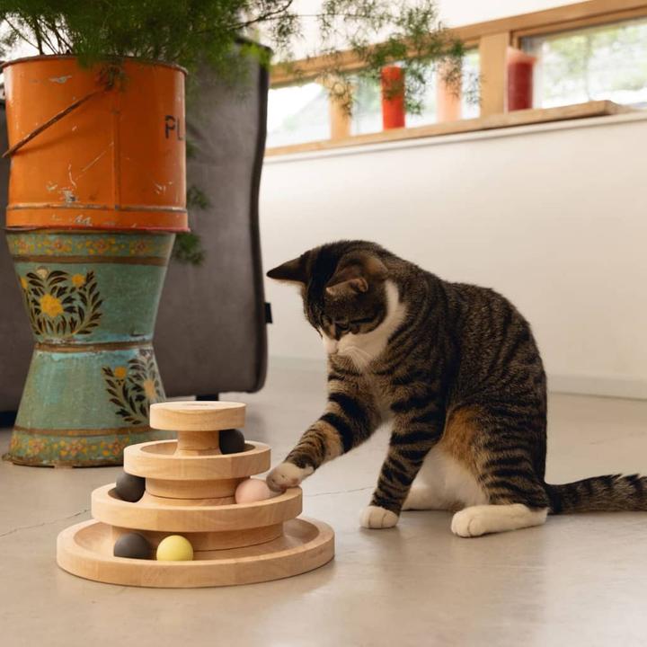 Produktbild Designed by Lotte Mia (Ballspielzeug Katze)