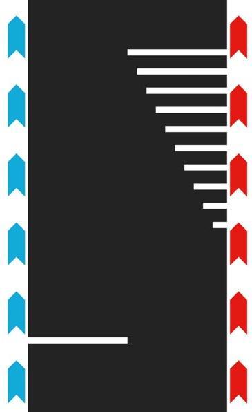 Carrera Hybrid Engstelle