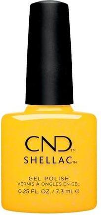 Giallo
