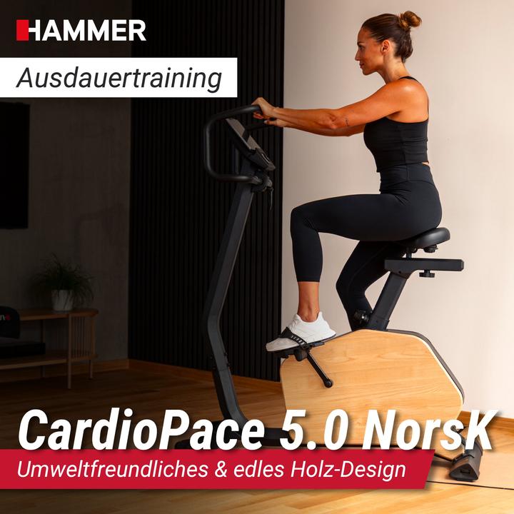 Image du produit Hammer Fitness Hammer CardioPace 5.0 NorsK Ergometer