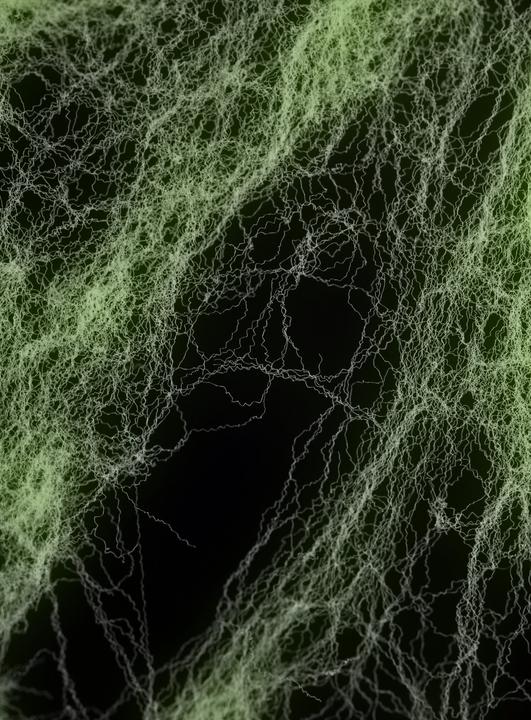 Image du produit Chaks Toile d'araignée (1 pièce(s))