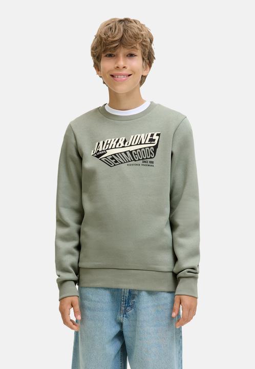 Actual product image Jack & Jones Junior Sweatshirt Logo Pullover (164)