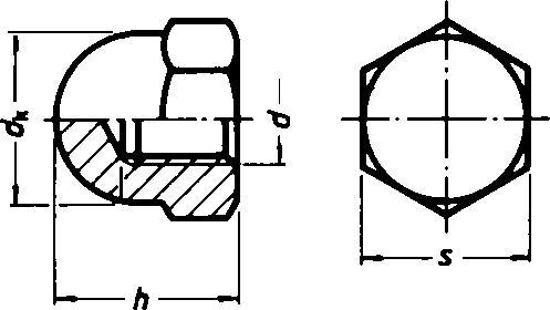 Actual product image E-Norm Pro Cap nut (M12)