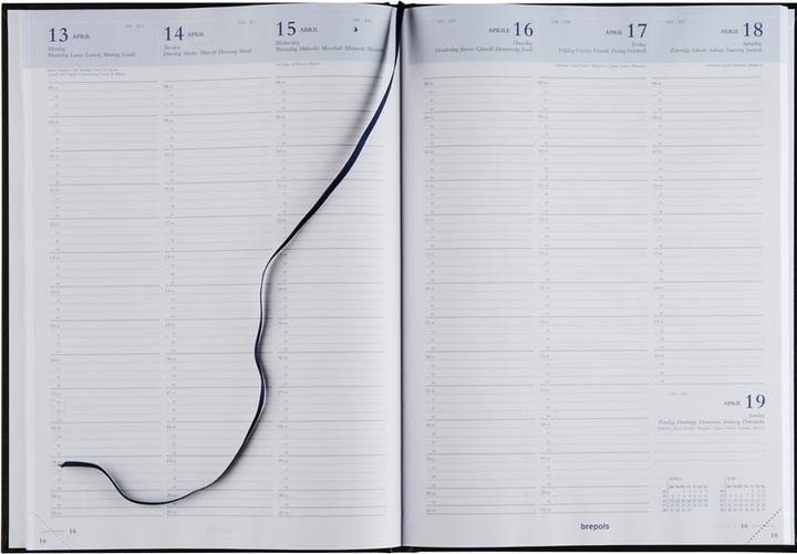 Immagine prodotto Brepols Omega 1W/2S Lima Kul. blu 30125606 21x29cm (A4, Tedesco, Francese, Inglese, Italiano, Olandese, Spagnolo)