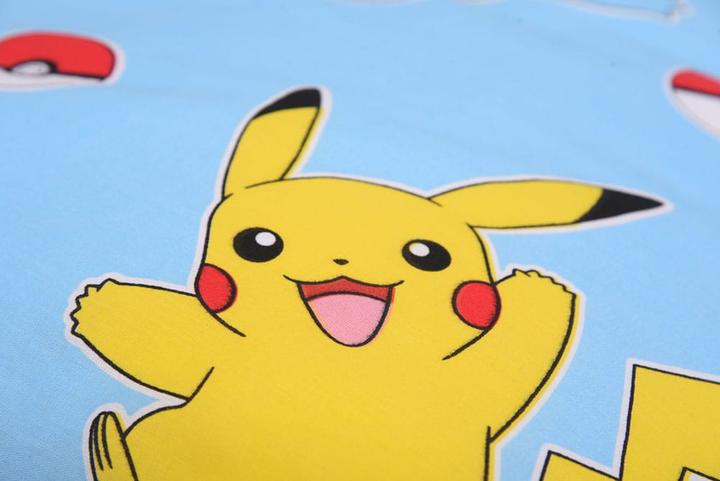 Produktbild Herding Pokemon