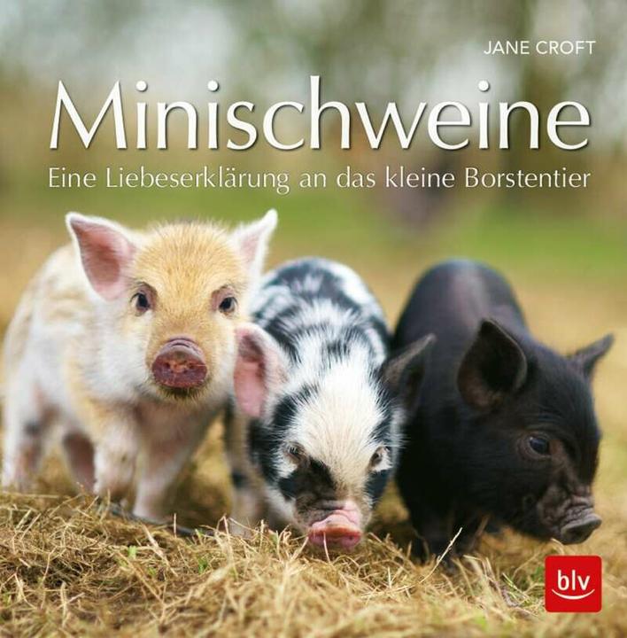 Produktbild Minischweine (Deutsch, Jane Croft, 2018)