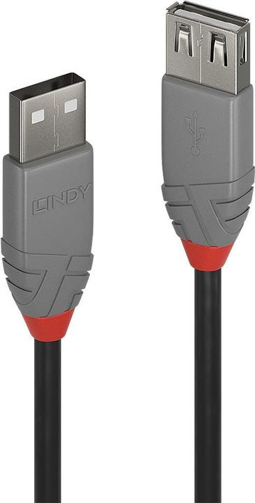 Actual product image Lindy USB/A-USB/A M-F (2 m, USB 2.0)