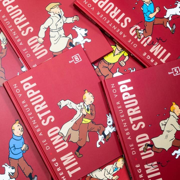 Actual product image Tim und Struppi: Tim und Struppi Kompaktschuber (German, Hergé, 2019)