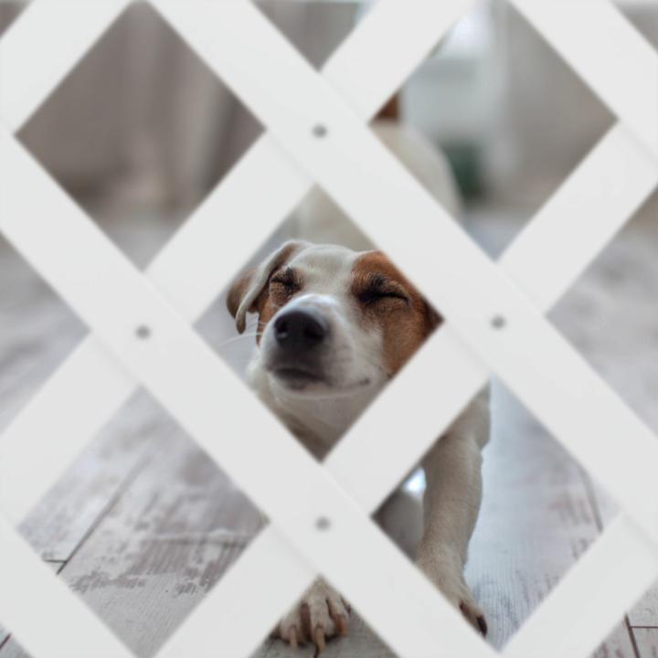 Produktbild Relaxdays Grabengel