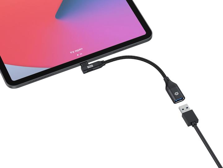 Image du produit Conceptronic USB type C - USB A (0.23 m, USB 3.2 Gen 2)