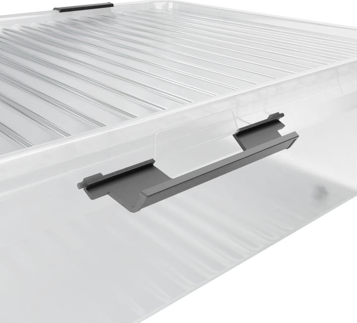 Actual product image Deuba Storage Box (60 x 40 x 35 cm, 24 l)