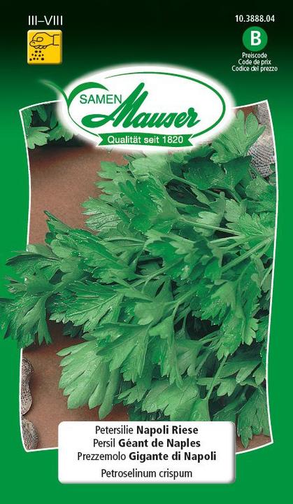Image du produit Samen Mauser Géant de Naples au persil (Graines d'herbes aromatiques)