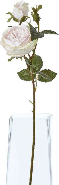 Immagine prodotto Hill Interiors The Natural Garden Collection Rosa Fiore Artificiale (58 cm)