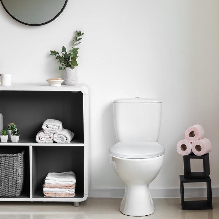 Actual product image Relaxdays Toilet seat with child seat