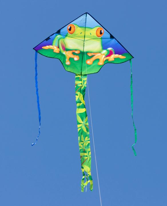 Immagine prodotto Invento Aquilone per bambini Simple Flyer Froggy