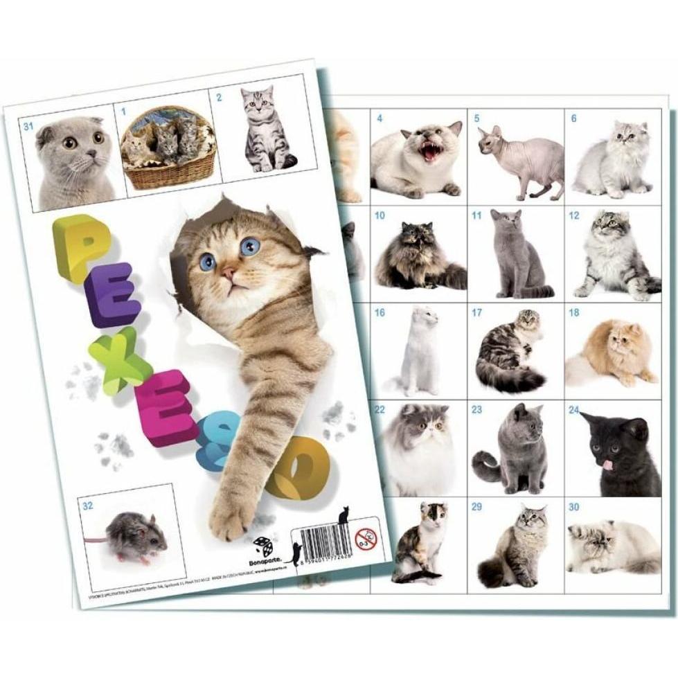 Teddies Pexeso - Katzen