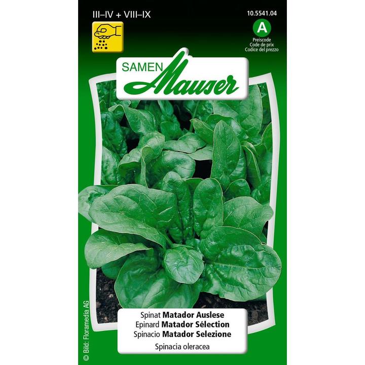 Produktbild Samen Mauser Spinat Matador Auslese (Gemüsesamen)