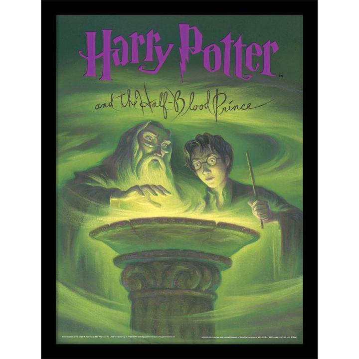 Image du produit Harry Potter - Poster encadré (40 x 30 cm)