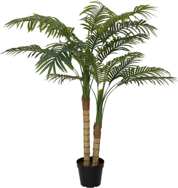 Produktbild Europalms Areca Palme (120 cm)