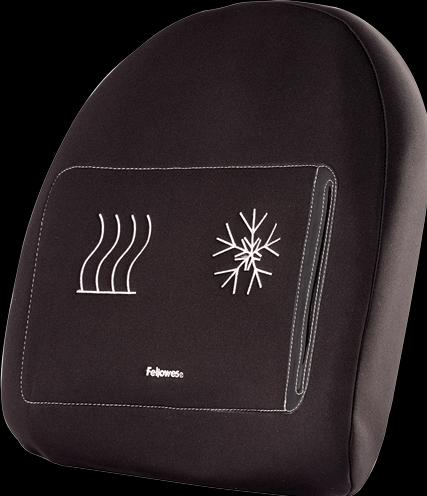 Image du produit Fellowes Support dorsal Professonal Series