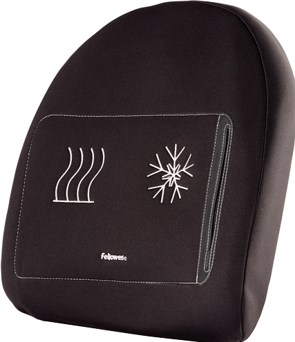 Actual product image Fellowes Back support Professonal Series